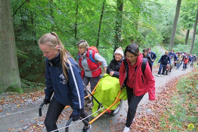 Randonnée joëlettes à Watermael-Boitsfort