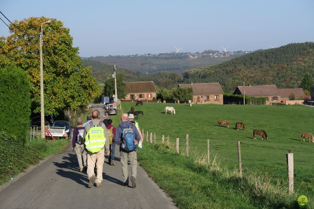 Randonnée joëlettes à Andenne