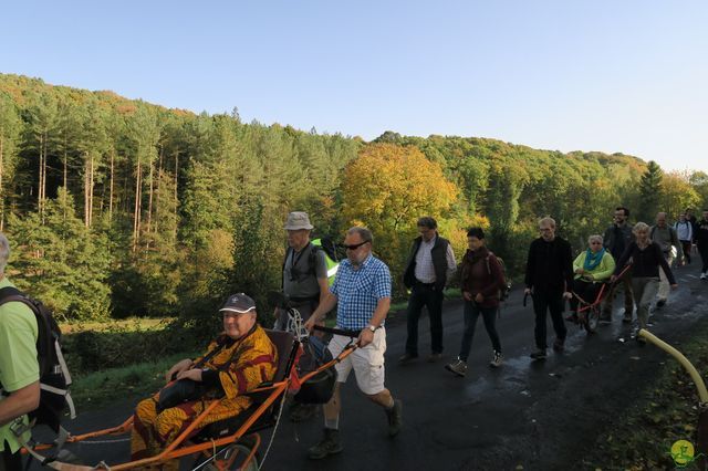 Randonnée joëlettes à Andenne