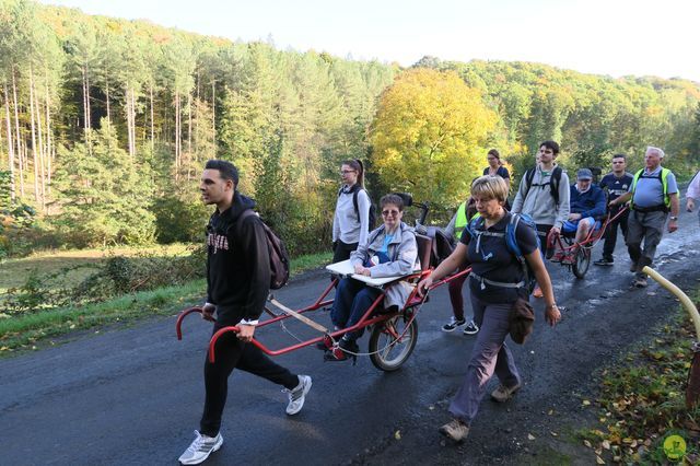 Randonnée joëlettes à Andenne