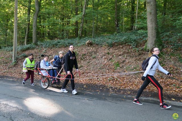 Randonnée joëlettes à Andenne