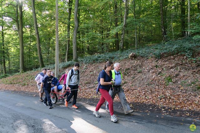 Randonnée joëlettes à Andenne