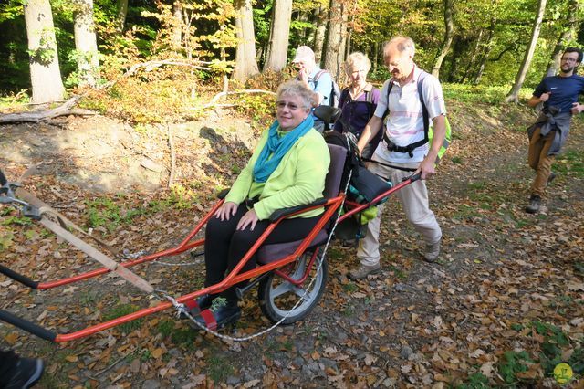 Randonnée joëlettes à Andenne