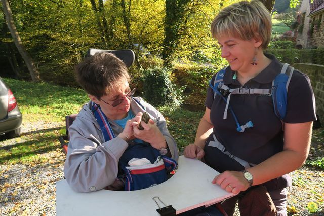 Randonnée joëlettes à Andenne