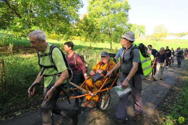 Randonnée joëlettes à Andenne