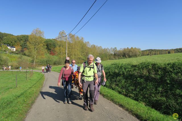 Randonnée joëlettes à Andenne