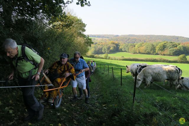 Randonnée joëlettes à Andenne