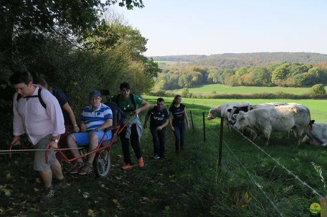 Randonnée joëlettes à Andenne