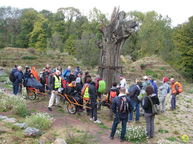 Randonnée joëlettes à Fayenbois