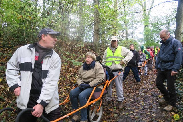 Randonnée joëlettes à Fayenbois