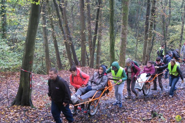 Randonnée joëlettes à Fayenbois