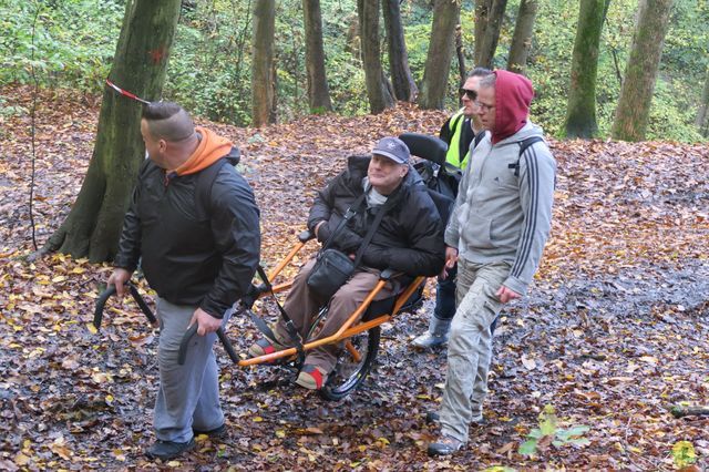 Randonnée joëlettes à Fayenbois