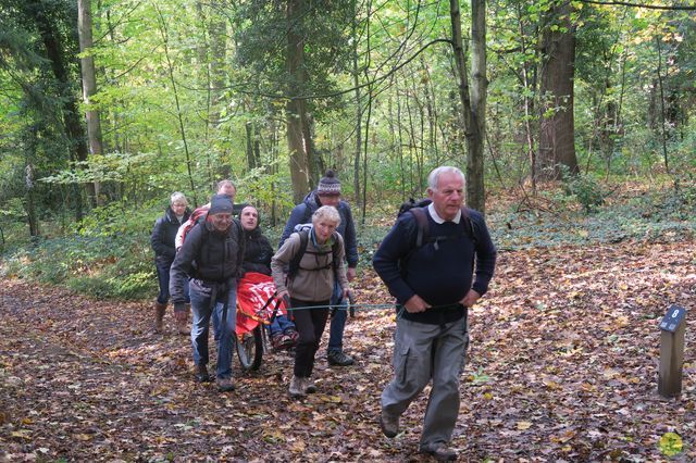 Randonnée joëlettes à Fayenbois