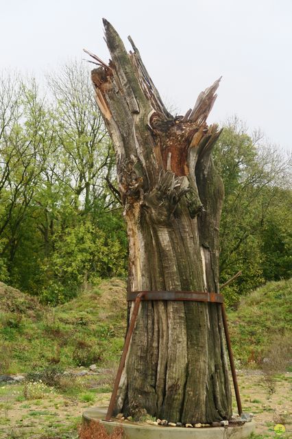 Randonnée joëlettes à Fayenbois