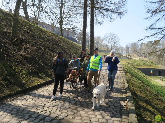 Randonnée joëlettes à Namur