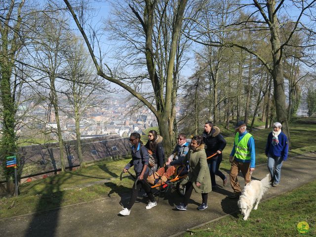 Randonnée joëlettes à Namur