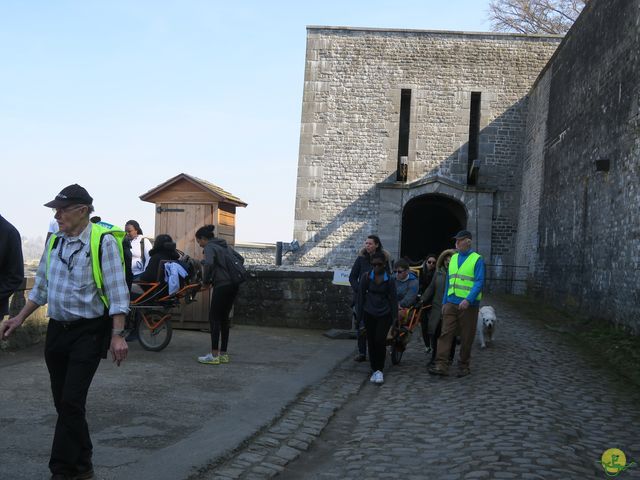 Randonnée joëlettes à Namur