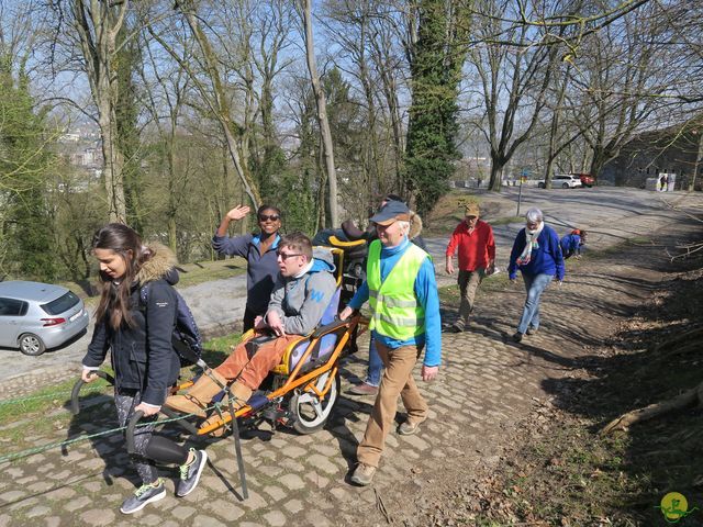 Randonnée joëlettes à Namur