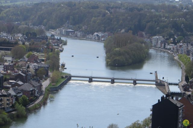 Randonnée joëlettes à Namur