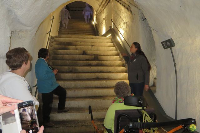 Randonnée joëlettes à Namur