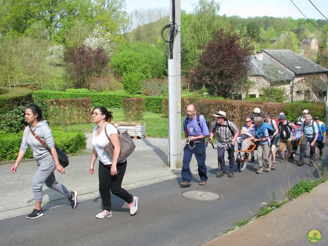 Randonnée joëlettes à Hoeilaart