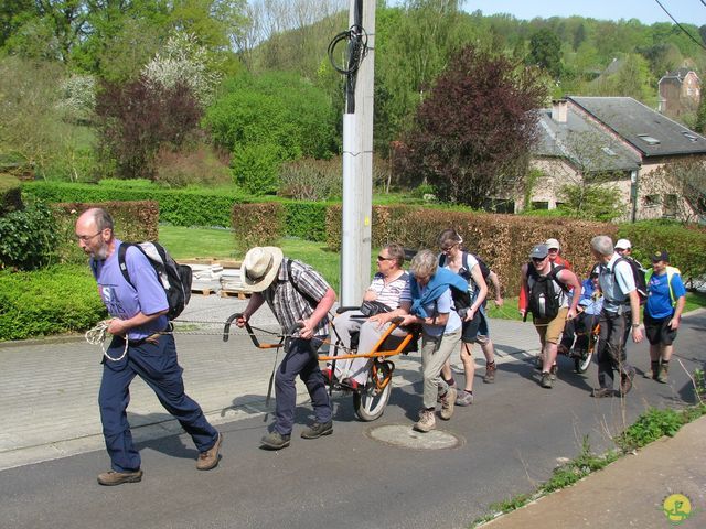 Randonnée joëlettes à Hoeilaart