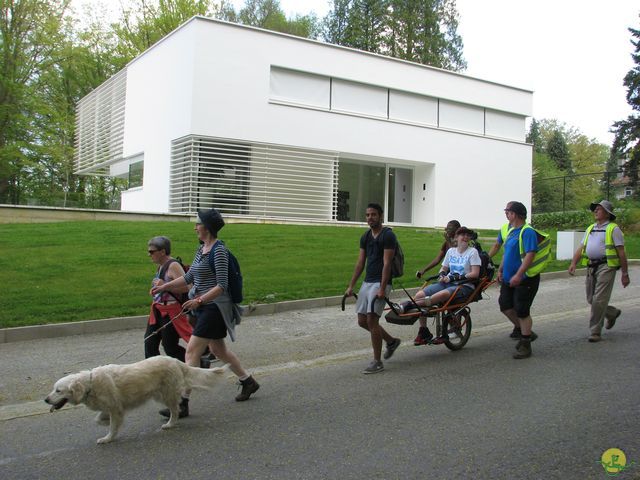 Randonnée joëlettes à Hoeilaart