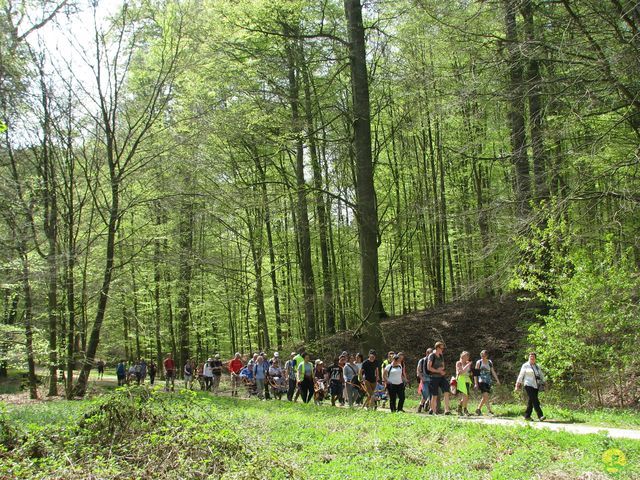 Randonnée joëlettes à Hoeilaart