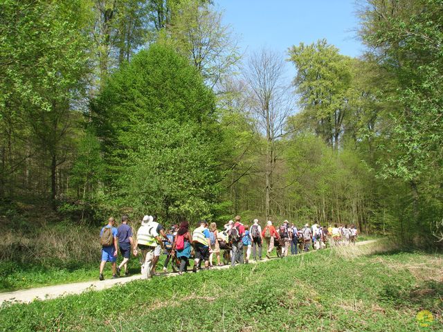 Randonnée joëlettes à Hoeilaart