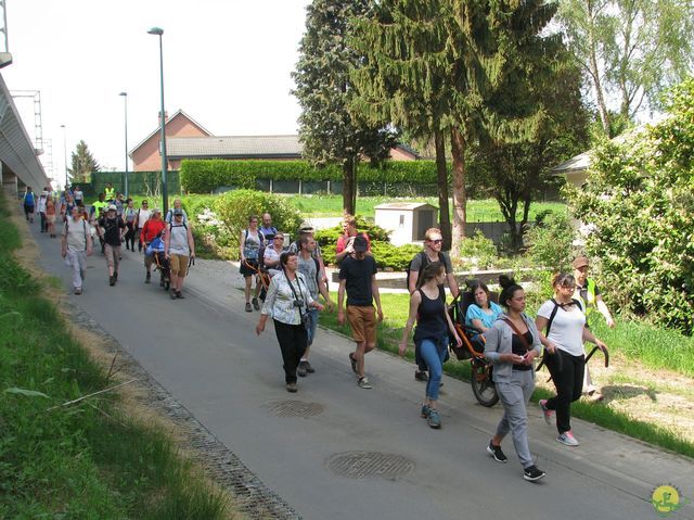 Randonnée joëlettes à Hoeilaart