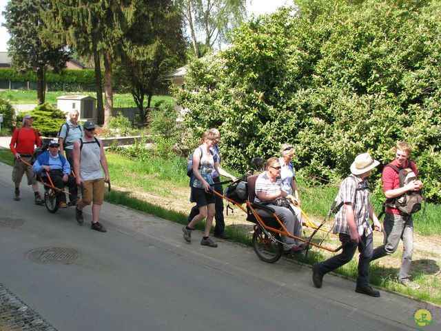 Randonnée joëlettes à Hoeilaart