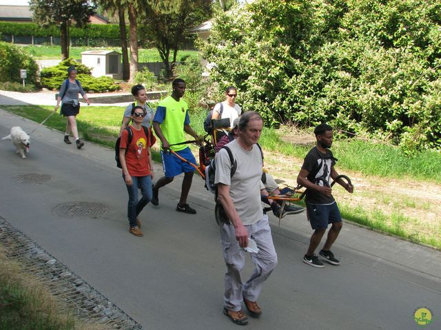 Randonnée joëlettes à Hoeilaart