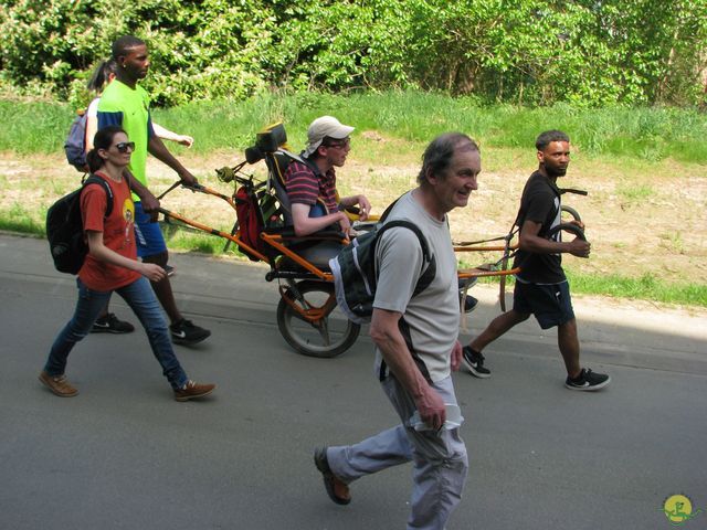 Randonnée joëlettes à Hoeilaart