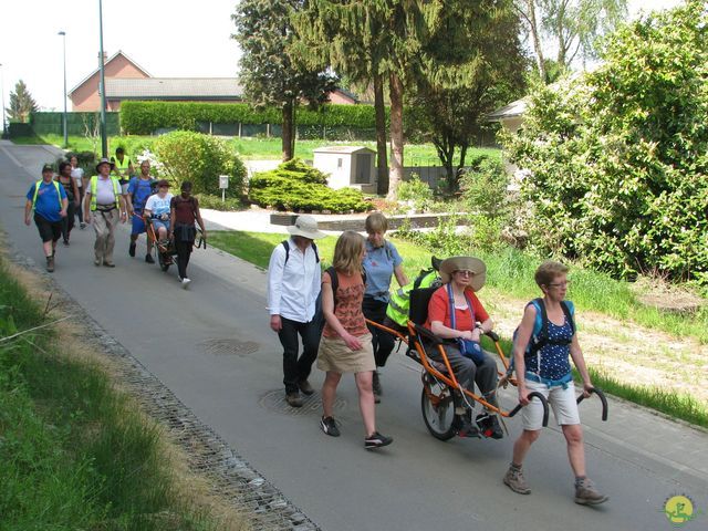 Randonnée joëlettes à Hoeilaart