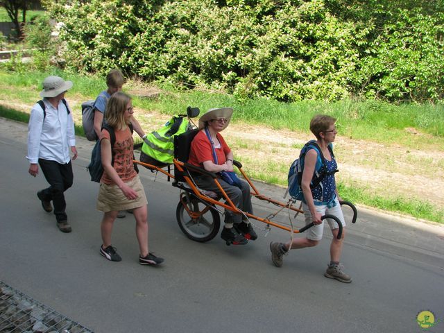 Randonnée joëlettes à Hoeilaart