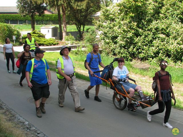 Randonnée joëlettes à Hoeilaart