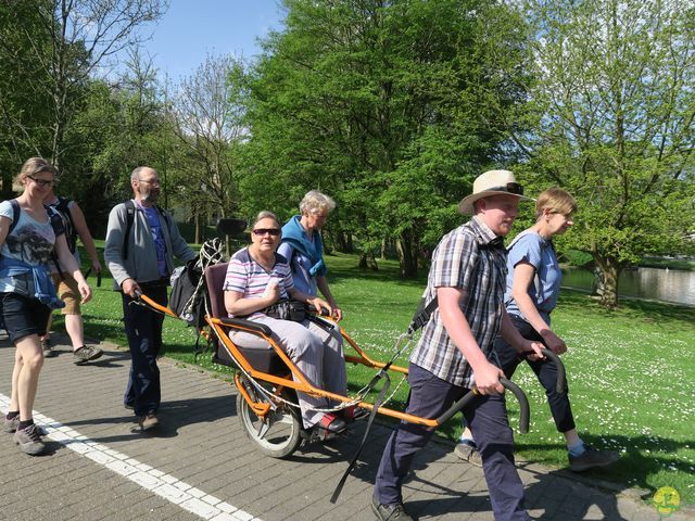 Randonnée joëlettes à Hoeilaart