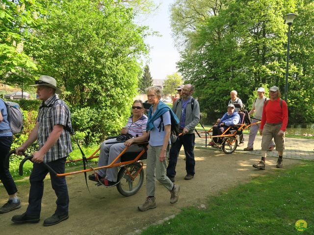 Randonnée joëlettes à Hoeilaart