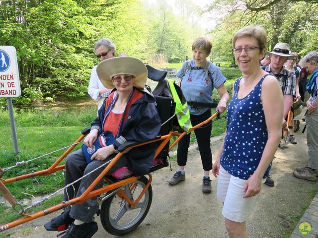 Randonnée joëlettes à Hoeilaart