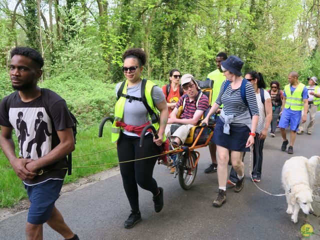 Randonnée joëlettes à Hoeilaart