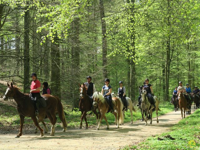 Randonnée joëlettes à Hoeilaart