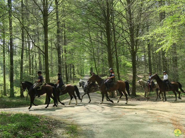 Randonnée joëlettes à Hoeilaart