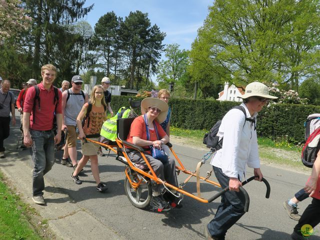 Randonnée joëlettes à Hoeilaart