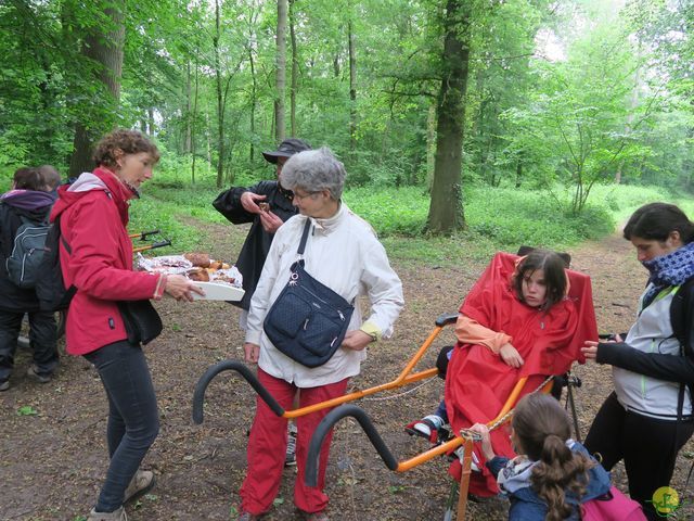 Randonnée joëlettes à Veillereille