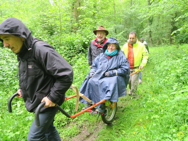 Randonnée joëlettes à Veillereille