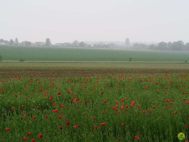 Randonnée joëlettes à Veillereille