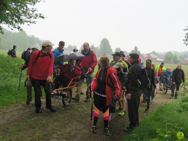 Randonnée joëlettes à Veillereille