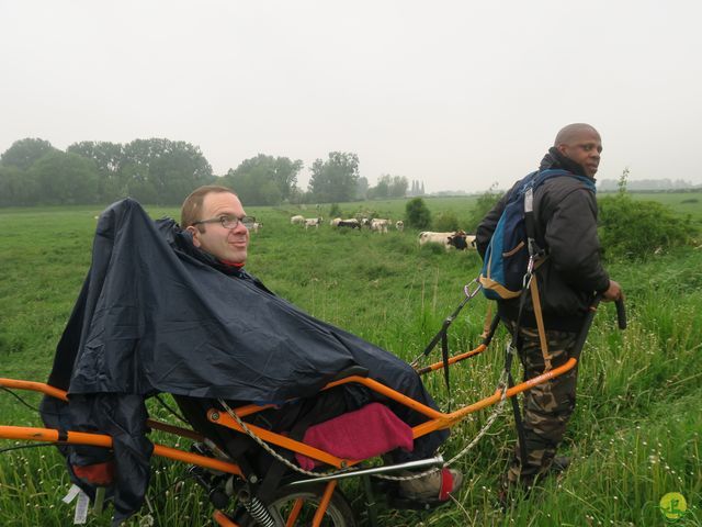 Randonnée joëlettes à Veillereille