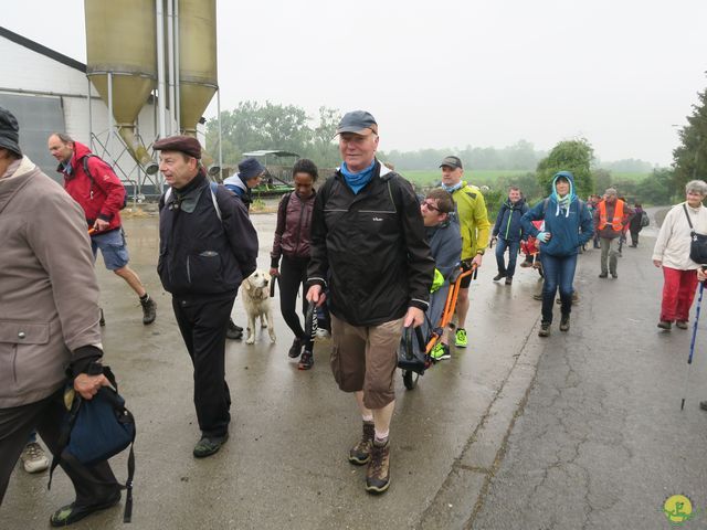 Randonnée joëlettes à Veillereille