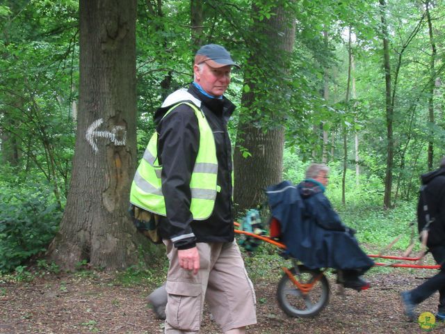 Randonnée joëlettes à Veillereille